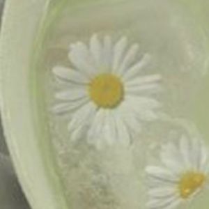 Meet your Posher, Layla